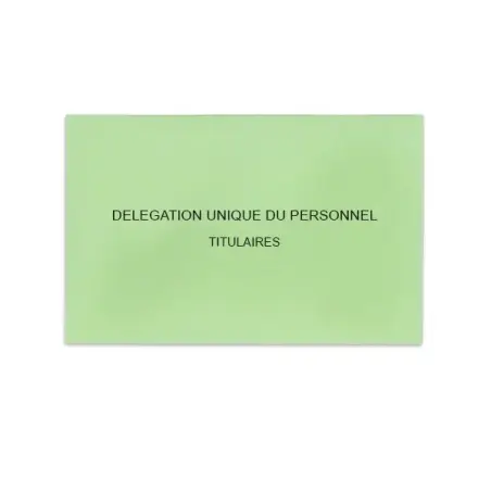 Délégation Unique du Personnel Vert Clair