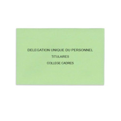 Délégation Unique du Personnel Vert Clair