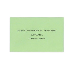 Délégation Unique du Personnel Vert Clair