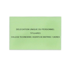 Délégation Unique du Personnel Vert Clair