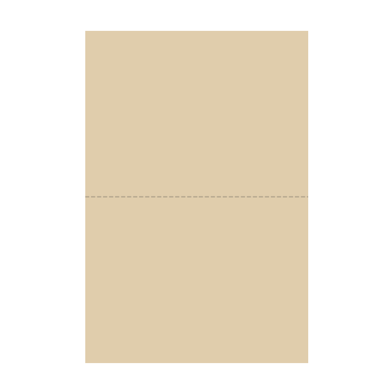 Bulletins de vote A5 - Beige