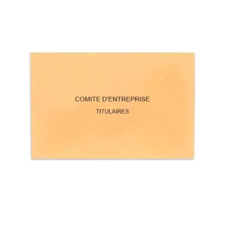 Comité d'Entreprise Saumon