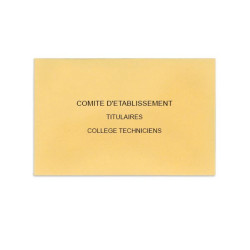 Comité d'Etablissement Beige