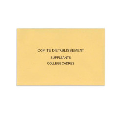 Comité d'Etablissement Beige