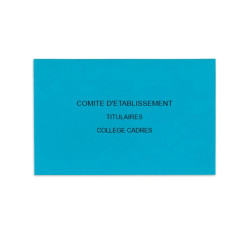 Comité d'Etablissement Bleu Vif