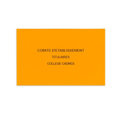 Comité d'Etablissement Orange
