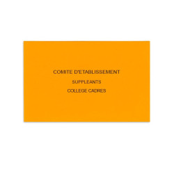 Comité d'Etablissement Orange