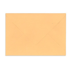 Enveloppes électorales saumon