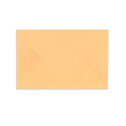 Enveloppes élections Saumon