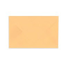 Enveloppes élections Saumon