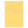 Papier couleur Beige
