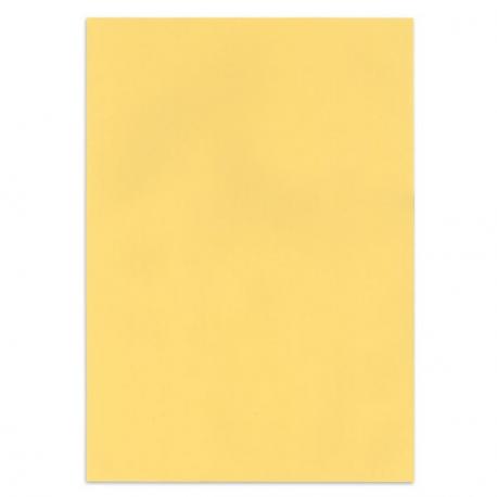 Papier couleur Beige