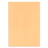 Papier couleur Saumon