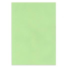 Papier couleur Vert clair (50 feuilles)