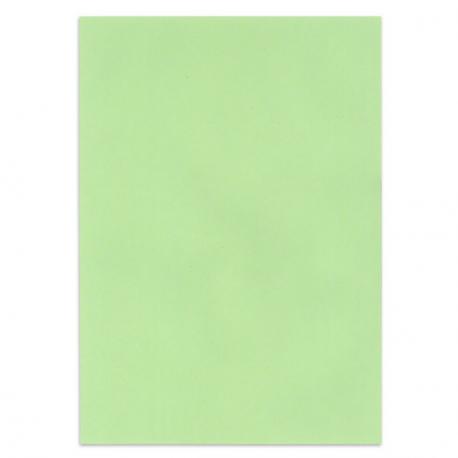 Papier couleur Vert clair