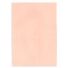 Bulletins de vote A6 - Rose clair