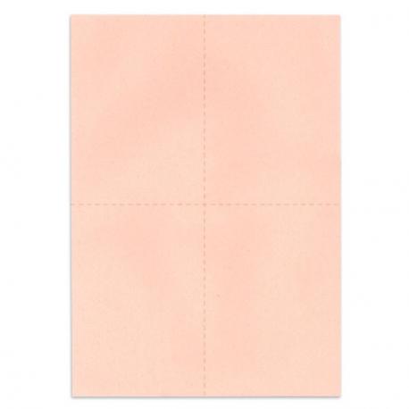 Bulletins de vote A6 - Rose clair