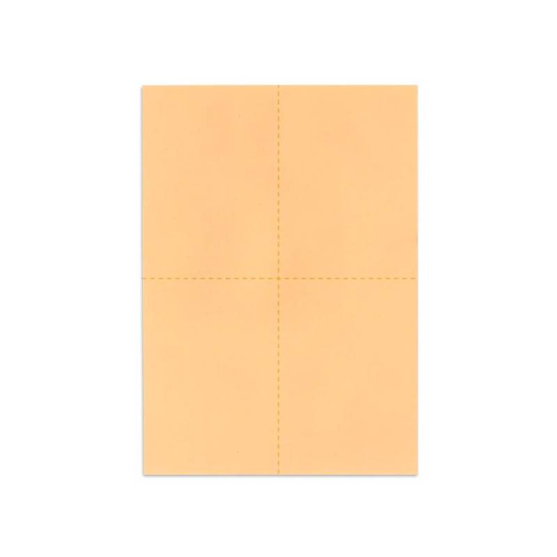 Bulletins de vote A6 - Saumon