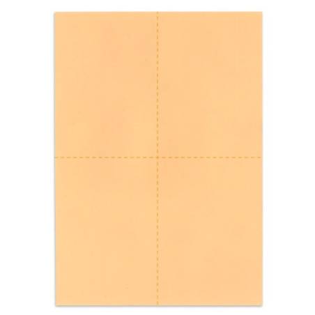 Bulletins de vote A6 - Saumon