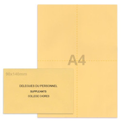 Kit élection beige