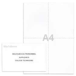 Kit élection délégués du personnel blanc