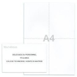 Kit élection délégués du personnel blanc