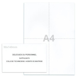 Kit élection délégués du personnel blanc