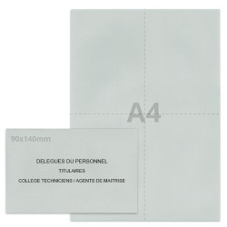 Kit élection délégués du personnel gris