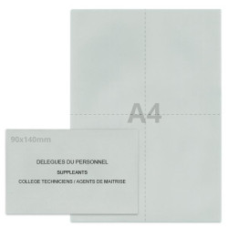 Kit élection délégués du personnel gris