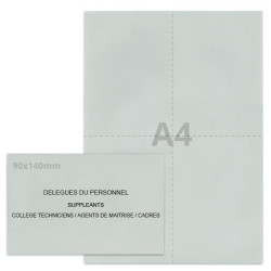 Kit élection délégués du personnel gris