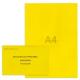 Kit élection délégués du personnel jaune vif