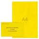 Kit élection délégués du personnel jaune vif