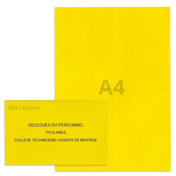 Kit élection délégués du personnel jaune vif