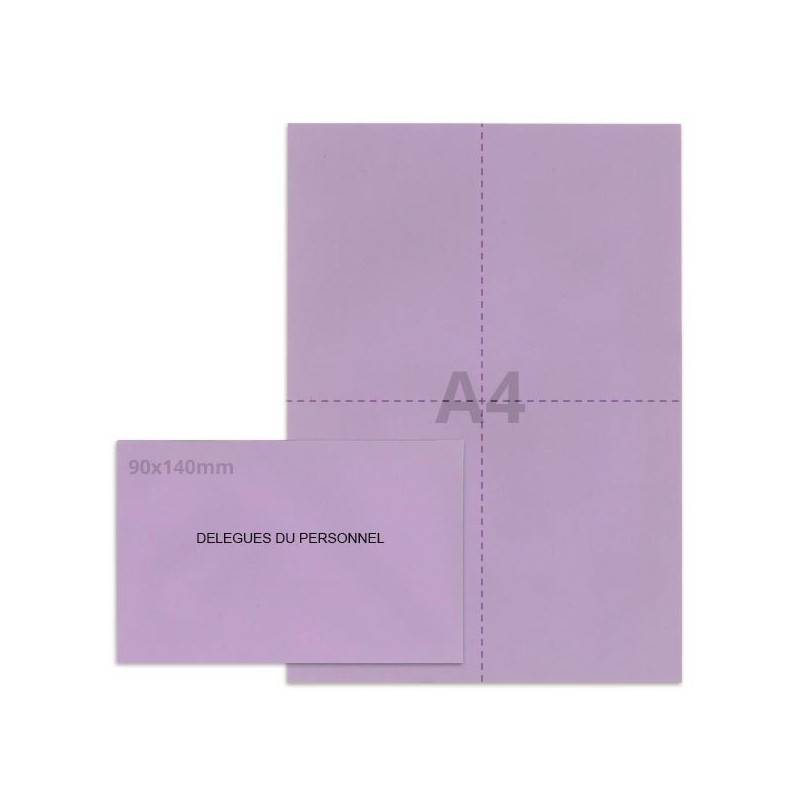 Kit élection délégués du personnel lilas
