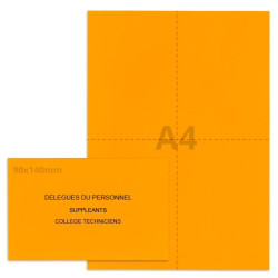 Kit élection orange