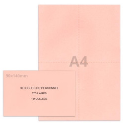 Kit élection rose clair