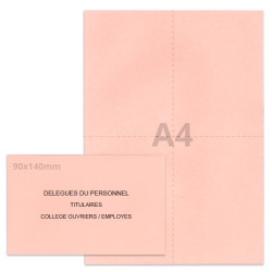 Kit élection rose clair