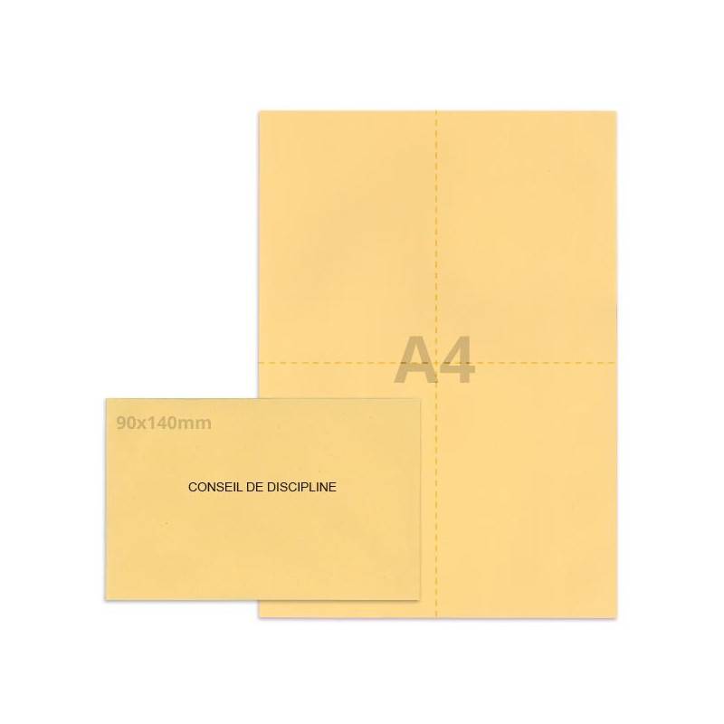 Kit élection conseil de discipline beige