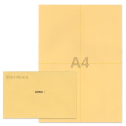 Kit élection chsct beige