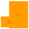 Kit élection chsct orange Kit élection chsct orange