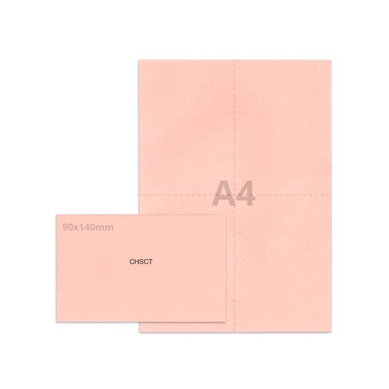 Kit élection chsct rose clair