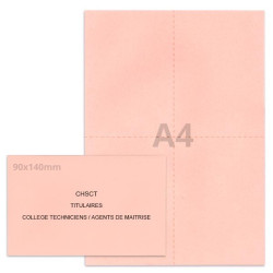 Kit élection chsct rose clair