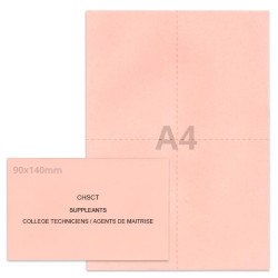 Kit élection chsct rose clair
