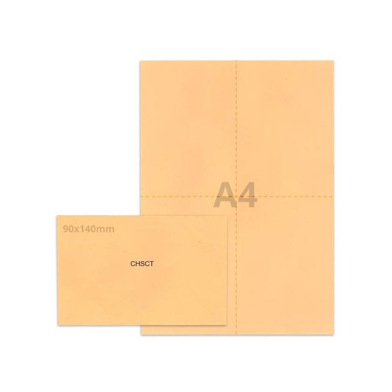 Kit élection chsct saumon