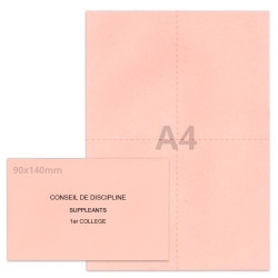 Kit élection conseil de discipline rose clair
