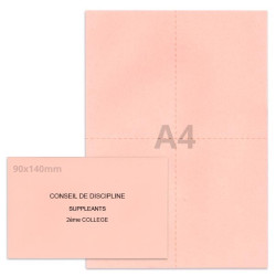 Kit élection conseil de discipline rose clair