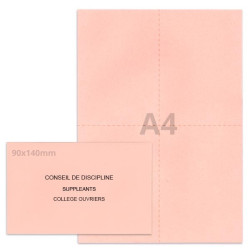 Kit élection conseil de discipline rose clair