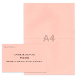 Kit élection conseil de discipline rose clair