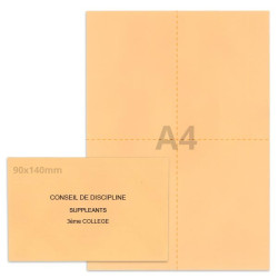 Kit élection conseil de discipline saumon