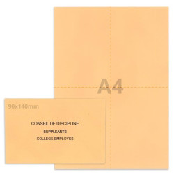 Kit élection conseil de discipline saumon